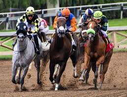 pronostics quotidiens sur les courses de chevaux
