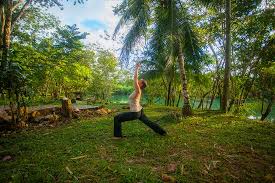 Maybe you would like to learn more about one of these? Free Yoga Classes For All Our Guests 7am 8am Tuesday Through Friday Picture Of Cotton Tree Lodge Punta Gorda Tripadvisor