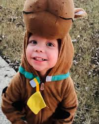 Rutt Row…the Scooby Doo crew has a mystery to solve! Halloween 2024 was a  success! We trick or treated until our wigs fell off, went to 2 trunk or  treats, got a