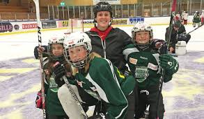 Färjestad bollklubb (abbreviated as fbk) is a swedish professional ice hockey team based in karlstad. Farjestad Bk Hockey Alliance Girl Power Camp The Brock News