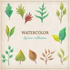 In case you want a similar looking leaves like the two art above, just simply visit the link below Watercolor Leaves Collection Photoshop Vectors Brushlovers Com