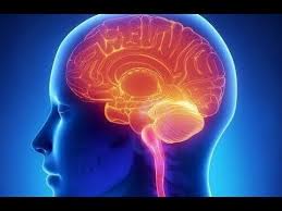 Beyin Hucrelerini Olduren 10 Aliskanlik Youtube Saglik Bakim Youtube Vertigo