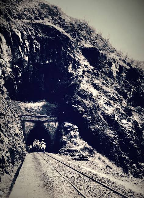 Elephants hauled Indore's first rail engine in 1874