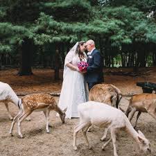 פרופיל של ‏‎Peter Trepanier‎‏‎