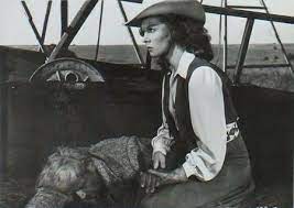 Susan Hayward In Tulsa Susan Hayward Susan Hayward