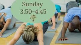 Teen Yoga