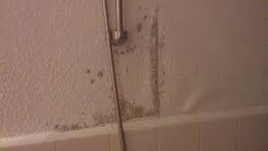 Solltes du aber sarrazin meinen und dies eine politische anspielung ist, dann kann. Schimmel Im Bad Dusche Tapeziert Wer Zahlt Mietrecht Vermieter Mieter