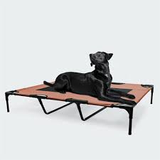Entdecke rezepte, einrichtungsideen, stilinterpretationen und andere ideen zum ausprobieren. Brandina Per Cani Sempre Tesa Con Elastici Tutte Le Misure Misura Cm35x50
