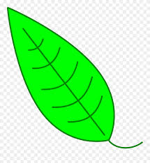 If you do not see any flaws, then you can start working with colors. Leaf Clipart Icon Simple Leaf Drawing Png Transparent Png 428209 Pinclipart