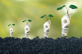 grow your money interest rate ile ilgili görsel sonucu