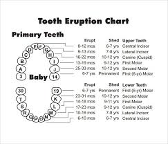 66 eye catching baby teeth chart timeline