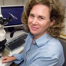 Marine microbes in a changing climate