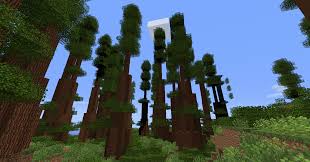 Best Biomes O Plenty Seeds 1 14 4 Biomes O Plenty Peterburi Tee 49 Tallinn