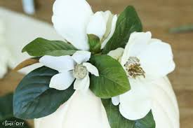 Browse a wide selection of colors and flower types. Diy Magnolia Pumpkin Lolly Jane