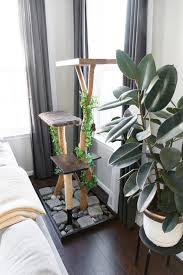 Our real cat tree with leaves is designed to focus on your cat's true nature, bringing out your cat's primal instincts, say the delroccos. Cat Lovers Learn How To Make A Diy Cat Tree Using Real Branches