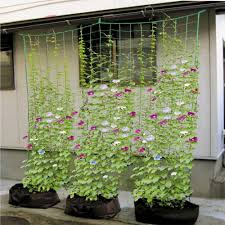 Check spelling or type a new query. Climbing Plant Support Mesh Plastic Garden Net Clematis Trellis Green 1 8mx 1 8m Buy At A Low Prices On Joom E Commerce Platform