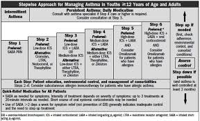 Stepwise Approach For Managing Asthmatures Anatomy System