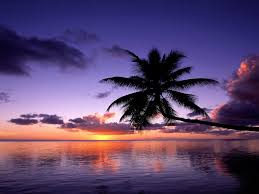Download and use 50,000+ sunset stock photos for free. Purple Sunset Wallpapers Group 75