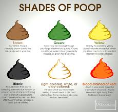 Image result for dark black stool human poop