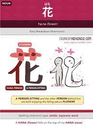 N5 Vocabulary Hana Flower Learn Japanese Words Japanese Language Learning Japanese Language Lessons