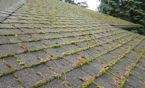 Cleaning asphalt shingles of clumps of moss or algae that have taken root in the roof can feel like an overwhelming endeavor. How To Keep Your Roof Moss Free Oregon Roof Guys