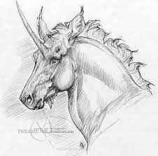 Pin On Unicorns Pegasus