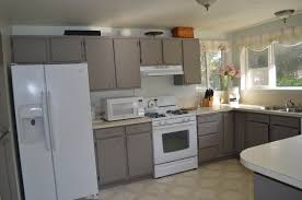 When raised panel cabinets are stained in our satin brown with a cocoa glaze, it results in a kitchen that is intriguing and welcoming at the same time. Are Grey Kitchen Area Closets Much Better Compared To White Webfarmer