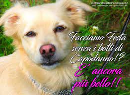 Cdb Cartoline Per Tutti I Gusti Cartolina Facciamo Festa Senza I Botti Di Capodann Cartoline Auguri Di Buon Compleanno Buon Compleanno