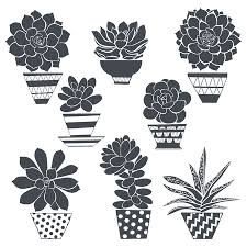 The floral units of triuridaceae, commonly regarded as flowers, may equally plausibly be interpreted as pseudanthia, i.e., modified and pseudanthia have apparently evolved several times in monocots and other basal angiosperms, and it may be useful to assess both inflorescences and flowers more. Monocots Cliparts Stock Vector And Royalty Free Monocots Illustrations