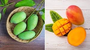 Raw mango vs ripe mango, which is better for your health? | Health -  Hindustan Times
