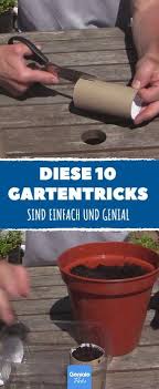 10 Life Hacks Fur Den Garten Pflanzideen Blumenzwiebeln Pflanzen Garten