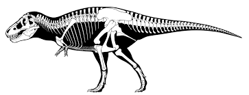 I had a few that i loved as a kid, but they all shared a common flaw. Absolute Abundance And Preservation Rate Of Tyrannosaurus Rex Science