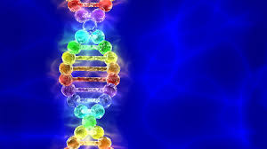 Giant Study Links Dna Variants To Same Sex Behavior