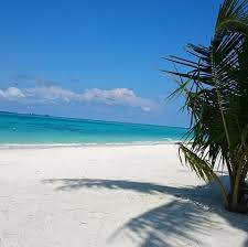 Pantai ini berjarak tidak terlalu jauh dari pusat kota lampung. Jawi Jawi Pantai Pasir Putih Home Facebook