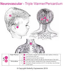 16 Tcm Headaches 5 Triple Warmer Pericardium