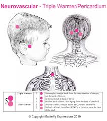 16 tcm headaches 5 triple warmer pericardium