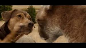 Sandie angulo chen, common sense media. Pixomondo Creates The Purrfect Big Kitten In A Dog S Way Home Animation World Network