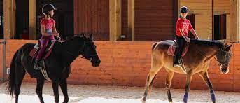 Sessions can accommodate campers with mild to moderate. Horse Camp Overnight Equestrian Program Rockbrook Camp For Girls