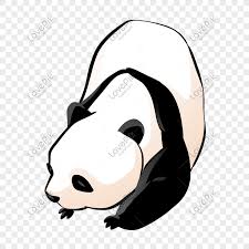 Makanan giant pandas hampir seluruhnya terdiri dari batang bambu, pucuk dan akar. Gambar Hewan Yang Dilindungi Kartun
