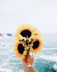 Flower Iphone Wallpapers Iphone Flower Wallpaper 1080p Iphone 7 Flower Wallpaper 4k Pretty Floral Iphone Art Wallpaper Sunflower Wallpaper Flower Wallpaper