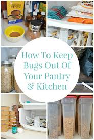 How To Keep Bugs Out Of Your Pantry And Kitchen Ehow Com Pantry Bugs Household Bugs Diy Pantry
