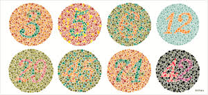 So, how can you tell if your animal is not color blind, or are they all color blind? What To Know About Color Blindness In Children Color Vision Deficiency 4d Vision Gym
