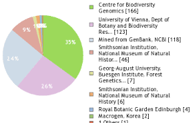 Image result for Rinorea brachypetala