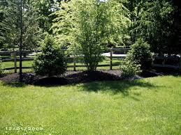 Maybe you would like to learn more about one of these? Pin By Amanda Propes On I D Rather Be Outside Urban Garden Landscape Design Privacy Landscaping