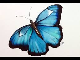 Butterfly watercolor watercolor and ink watercolor tattoo watercolor paintings watercolor ideas iris tattoo flower. Watercolor Butterfly Real Time Painting Demonstration Youtube