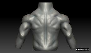 Alright, so now we will draw a forward facing shot of the, the torso. Karim Elkiky