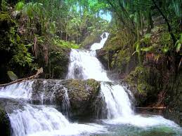 Maybe you would like to learn more about one of these? Not Worth The Price Review Of Hawaii Tropical Bioreserve And Garden Papaikou Hi Tripadvisor