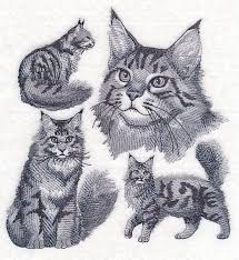 Op zoek naar een maine coon kitten of kat? Machine Embroidery Designs At Embroidery Library Embroidery Library