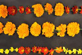 Pin On Halloween Ideas
