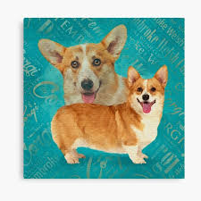 The two were divided into separate breeds in 1934, and the american kennel. Cardigan Corgi Wall Art Redbubble